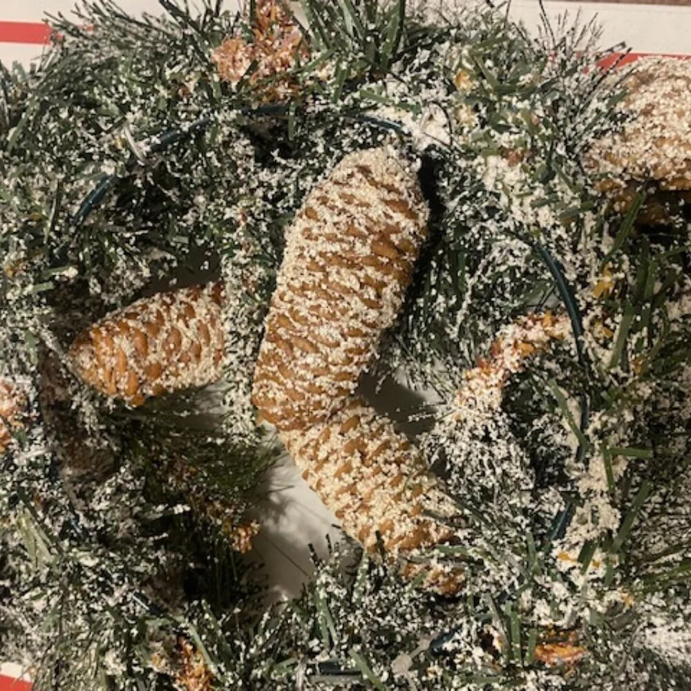 ASHLAND Christmas 12in Wreath Couronne 30.4cm Snowy Noble Pine